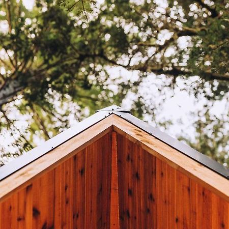 The Treeframe Cabin Villa Index Eksteriør billede