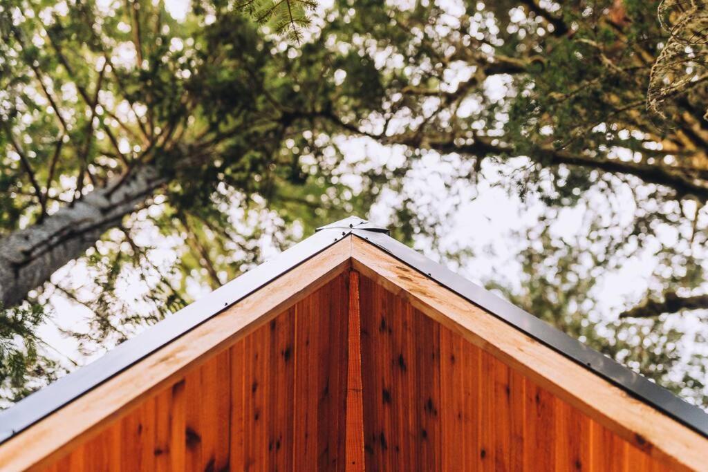 The Treeframe Cabin Villa Index Eksteriør billede