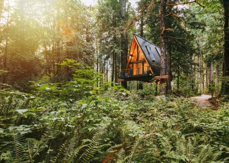 The Treeframe Cabin Villa Index Eksteriør billede