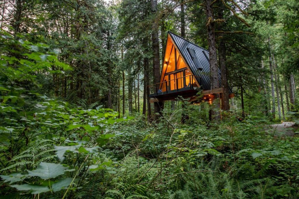 The Treeframe Cabin Villa Index Eksteriør billede